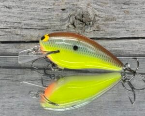 Black Label Balsa - BL 1.5 - Balsa Squarebill - River Bream Color