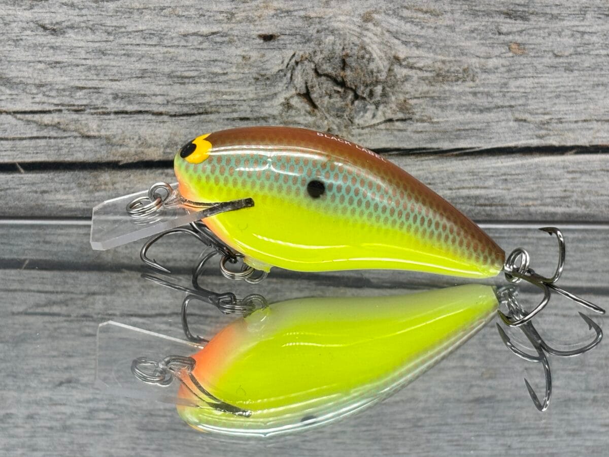 Black Label Balsa - BL 1.5 - Balsa Squarebill - River Bream Color