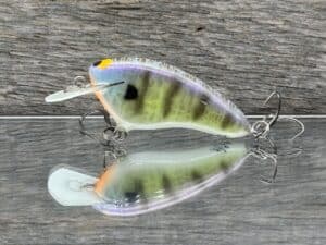 Black Label Balsa - Hickster - Signature Series Crankbait - Candy Gill Color