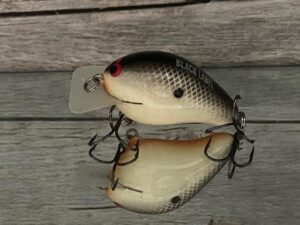 Black Label Balsa - CBS 1 - Balsa Squarebill Crankbait - Bone Black Back Color - Bagley B1