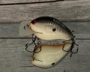 Black Label Balsa - CBS 1 - Balsa Squarebill Crankbait - Bone Black Back Color - Bagley B1