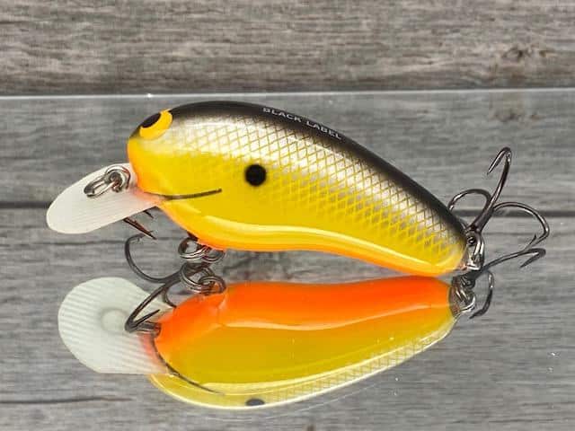 Black Label Balsa - Sandman - Custom Balsa Crankbait - Mellow Yellow Color  - Zoom WEC Sand Flea - Wood Bait Country