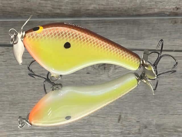 Black Label Balsa - Tease - Custom Balsa Topwater Prop Bait - River Bream  Color - Wood Bait Country