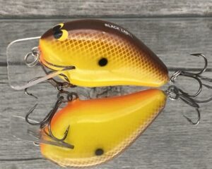 Black Label Balsa - Ricochet Jr. - Custom Balsa Crankbait - Hot Mustard Color