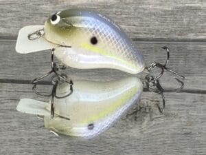 Black Label Balsa - CBS 1 - Balsa Squarebill Crankbait - Chartreuse Shad Color - Bagley B1