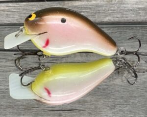 Black Label Balsa - CBS 2 - Custom Balsa Squarebill Crankbait - Tomato Shad Color- Bagley B2