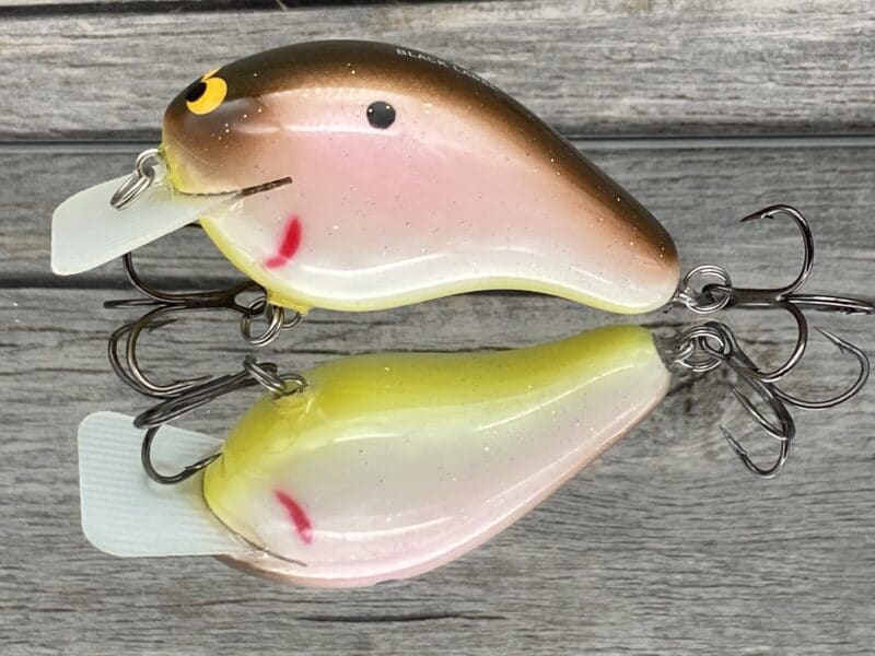 Black Label Balsa - CBS 2 - Custom Balsa Squarebill Crankbait - Tomato Shad  Color- Bagley B2 - Wood Bait Country