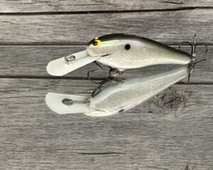 Black Label Balsa - SS Shad - Custom Balsa Crankbait - Gizzard Shad Foil Color