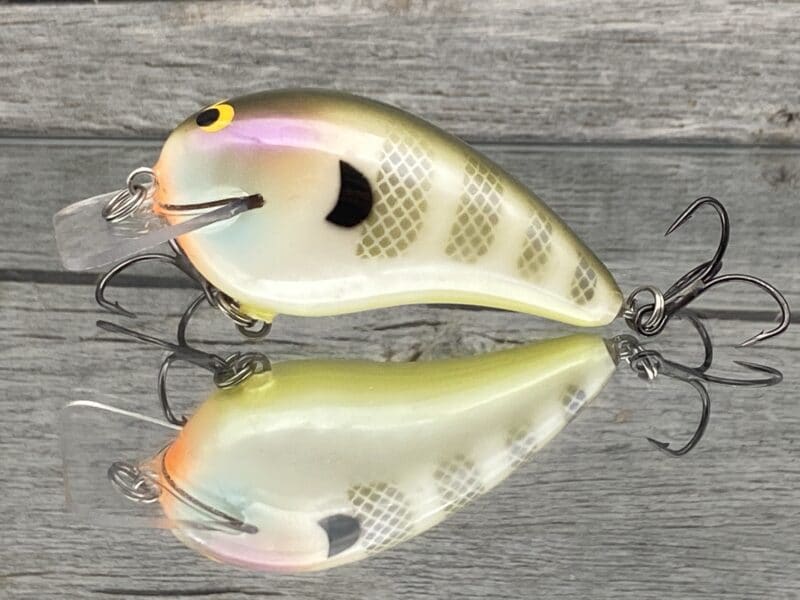 Black Label Balsa - Ricochet - Custom Balsa Crankbait - Bluegill Color -  Wood Bait Country