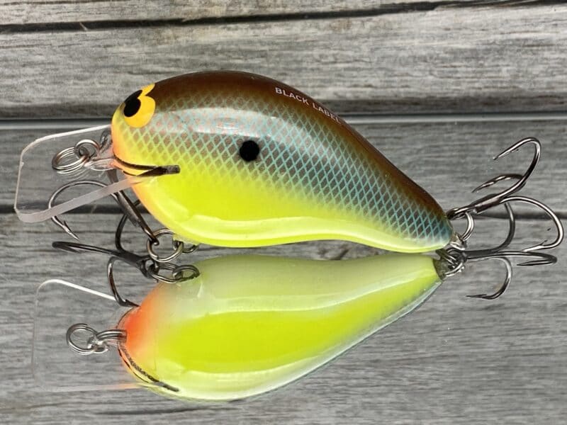 2.5 squarebill shallow diving crankbait with custom painted body