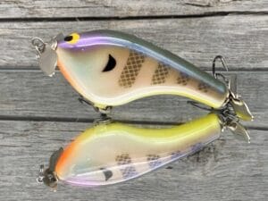 Black Label Balsa - Tease - Custom Balsa Topwater Prop Bait - Bluegill Color