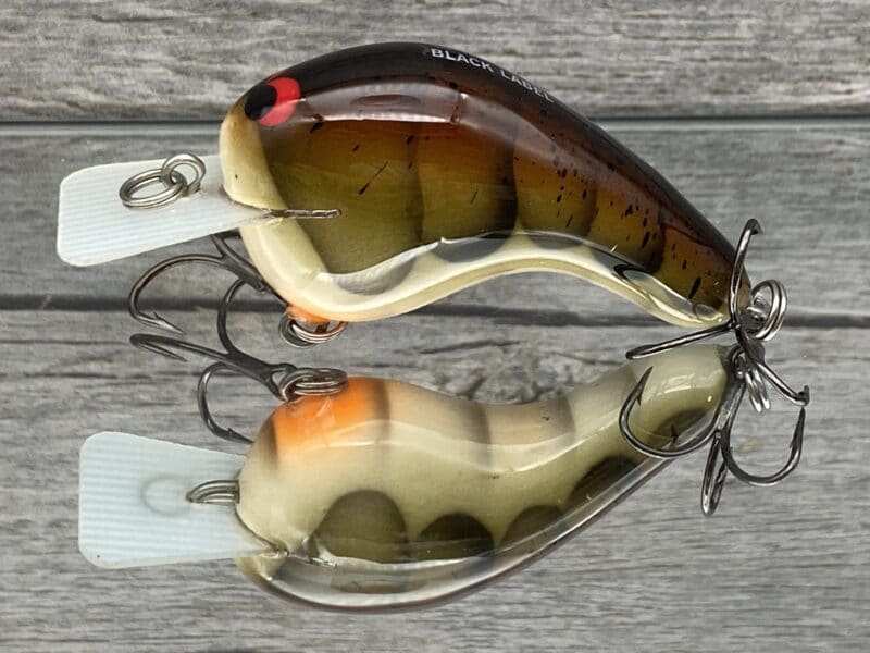 Black Label Balsa - CBS 1 - Balsa Squarebill Crankbait - Tennessee Shad  Color - Bagley B1 - Wood Bait Country