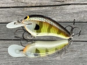 Black Label Balsa - Little Cliffie - Custom Balsa Crankbait - Bold Bluegill Color