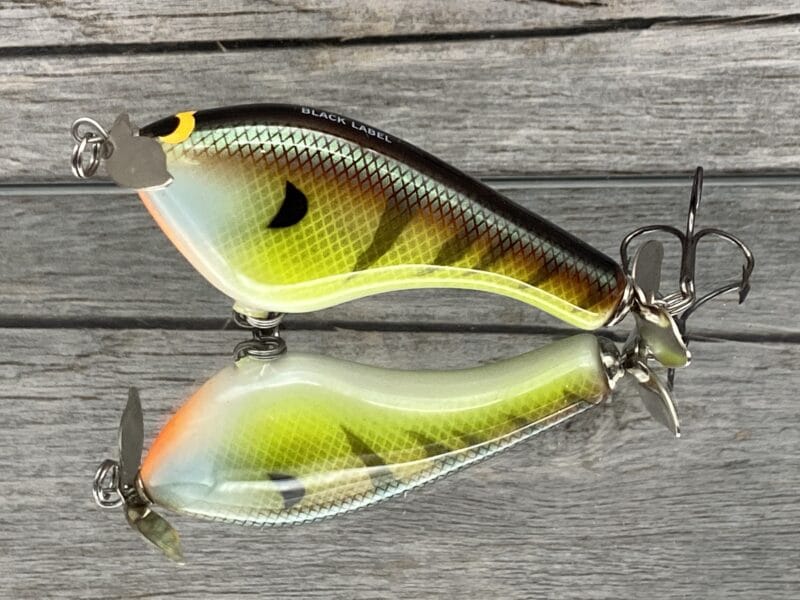 Black Label Balsa - Tease - Custom Balsa Topwater Prop Bait - Bold Bluegill  - Wood Bait Country