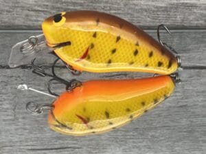 Black Label Balsa - BL 1.5 - Balsa Squarebill - DC9 Color