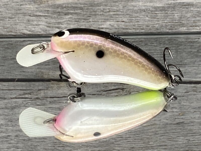 Black Label Balsa - Hickster - Balsa Crankbait - Triple Threat Shad - Zoom  WEC Hicky - Wood Bait Country