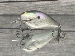 Black Label Balsa - BL 1.5 - Balsa Squarebill - Gizzard Shad Foil Color