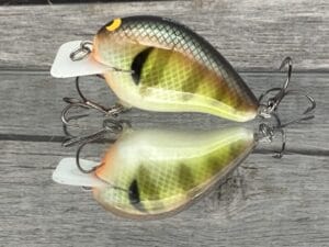 Black Label Balsa - CBS 1 - Balsa Squarebill Crankbait - Bold Bluegill Color - Bagley B1