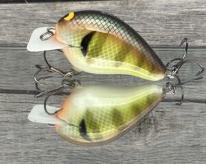 Black Label Balsa - CBS 1 - Balsa Squarebill Crankbait - Bold Bluegill Color - Bagley B1
