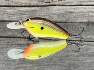 Black Label Balsa - Little Cliffie - Custom Balsa Crankbait - River Bream Color
