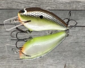 Black Label Balsa - BL 1.5 - Balsa Squarebill - Slick Color