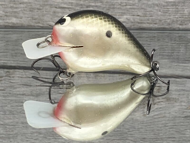 Black Label Balsa - CBS 1 - Balsa Squarebill Crankbait - Tennessee Shad  Color - Bagley B1 - Wood Bait Country