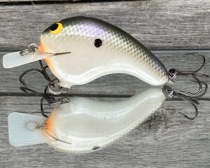 Black Label Balsa - Potbelly - Hybrid Squarebill Crankbait - Gizzard Shad Pearl Color