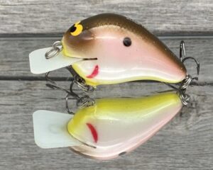Black Label Balsa - CBS 1 - Balsa Squarebill Crankbait - Tomato Shad Color - Bagley B1