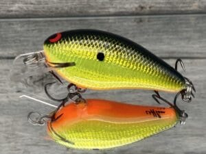 Black Label Balsa - BL 1.5 - Signature Series - Sun Granny Color - RC 1.5