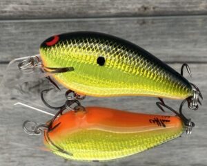Black Label Balsa - BL 1.5 - Signature Series - Sun Granny Color - RC 1.5