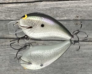 Black Label Balsa - Ricochet - Custom Balsa Crankbait - Gizzard Shad Foil Color