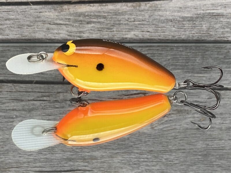 Black Label Balsa - Little Cliffie - Custom Balsa Crankbait