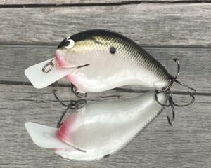 Black Label Balsa - CBS 2 - Custom Balsa Squarebill Crankbait - Tennessee Shad Color- Bagley B2