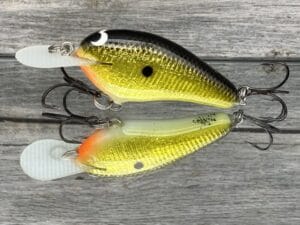 Black Label Balsa - Little Cliffie - Signature Series Crankbait - Gold Foil Black Back Color