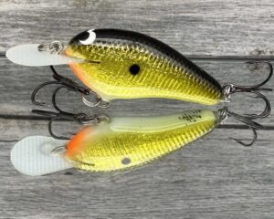 Black Label Balsa - Little Cliffie - Signature Series Crankbait - Gold Foil Black Back Color