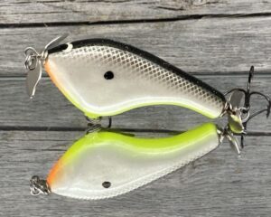 Black Label Balsa - Tease - Custom Balsa Topwater Prop Bait - Hot Shad Color