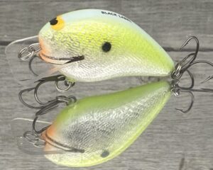 Black Label Balsa - Ricochet Jr. - Custom Balsa Crankbait - Citrus Shad Foil Color