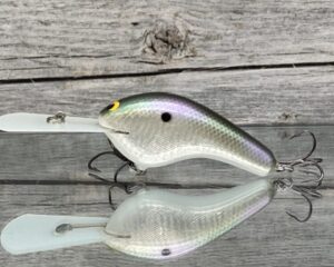 Black Label Balsa - Double D - Deep Diving Balsa Crankbait - Gizzard Shad Foil
