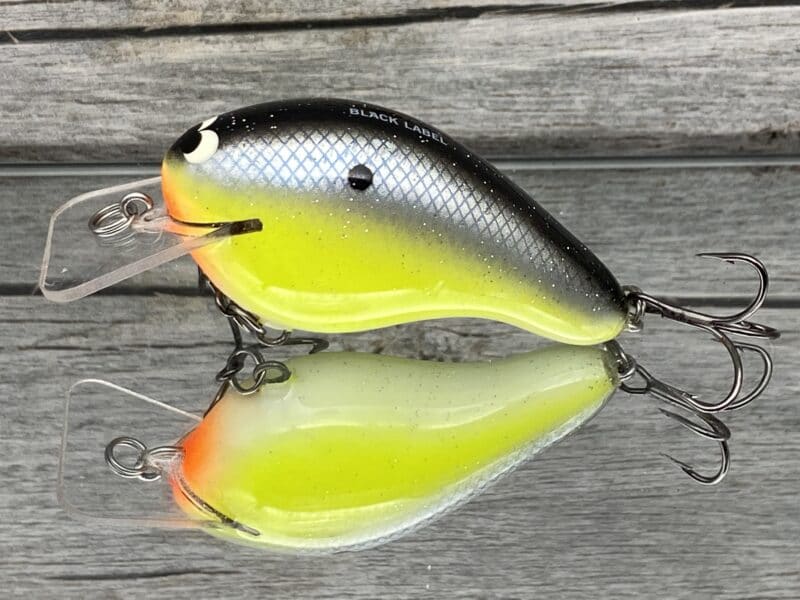 Black Label Balsa - Head Hunter - Custom Balsa Squarebill