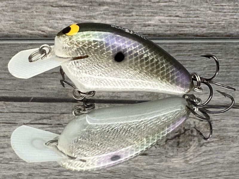 Black Label Balsa - Peanut - Balsa Crankbait - Foiled Gizzard Shad Color -  Zoom WEC Mutt - Wood Bait Country