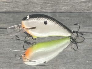 Black Label Balsa - BL 1.5 - Balsa Squarebill - Hot Shad Color