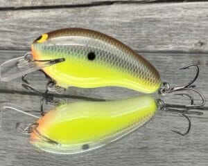 Black Label Balsa - Prowler - Custom Balsa Squarebill Crankbait - River Bream Color