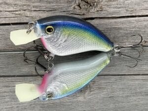 The Lure Forge - 2.5 Flatside - Balsa Crankbait - Blue Chrome Color
