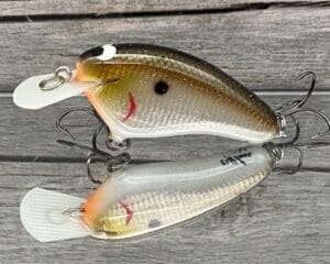 Black Label Balsa - Hickster - Signature Series Crankbait - Foiled Tennessee Flash Color