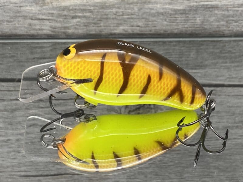 Black Label Balsa - Prowler - Custom Balsa Squarebill Crankbait - Spring  Tiger Color - Wood Bait Country