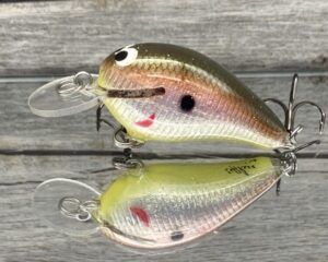 Black Label Balsa - Rumble-Signature Series - Balsa Crankbait - Foiled Tomato Shad Color