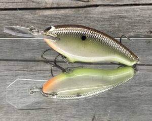 Black Label Balsa - Tapout - Custom Balsa Crankbait - Slick Color