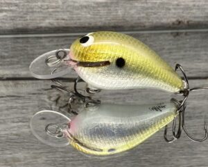 Black Label Balsa - Rumble-Signature Series - Balsa Crankbait - Foiled Morning Dawn Color