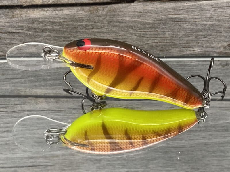 Black Label Balsa - Shiver 7 - Custom Balsa Crankbait - Sunset Tiger Color  - Wood Bait Country