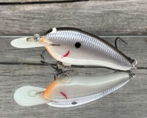 Black Label Balsa - Little Cliffie - Custom Balsa Crankbait - Electric Shad Color